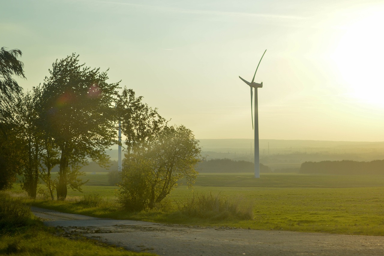 Renewable Resources and Green Energy Solutions - A Guide